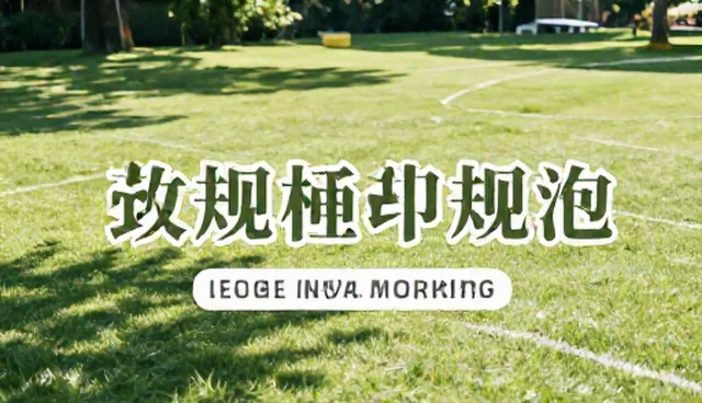 影视策划中的性能问题如何影响新媒体运营